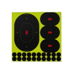 B27-6 SNC 9" Oval Target (Per6)