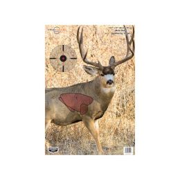 Pregame Mule Deer 16.5 x 24 Tgt  3 Tgt