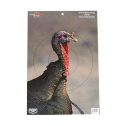 Pregame Turkey 12 x 18 Tgt  8 targets