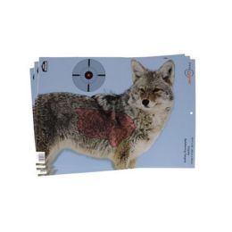 Pregame Coyote 16.5x 24  Tgt 3 targets