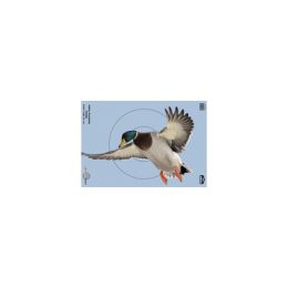 Pregame Duck 12 x 18 Tgt  100