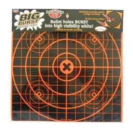 Big Burst 12" Sight In - 3 Target