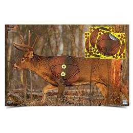 Eze-Scorer 23"x35"(2) & Shoot-N-C Tgt (4)