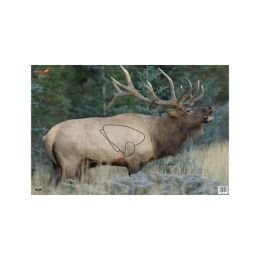Eze-Scorer Elk 23" x 35" - 2 Ppr Tgts