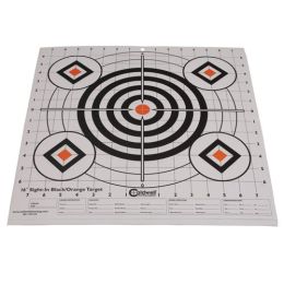 Sight In Target 16" Black and Orange 10pk