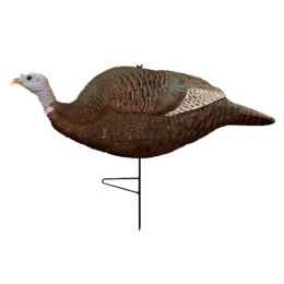 Gobbstopper  HD Hen Box
